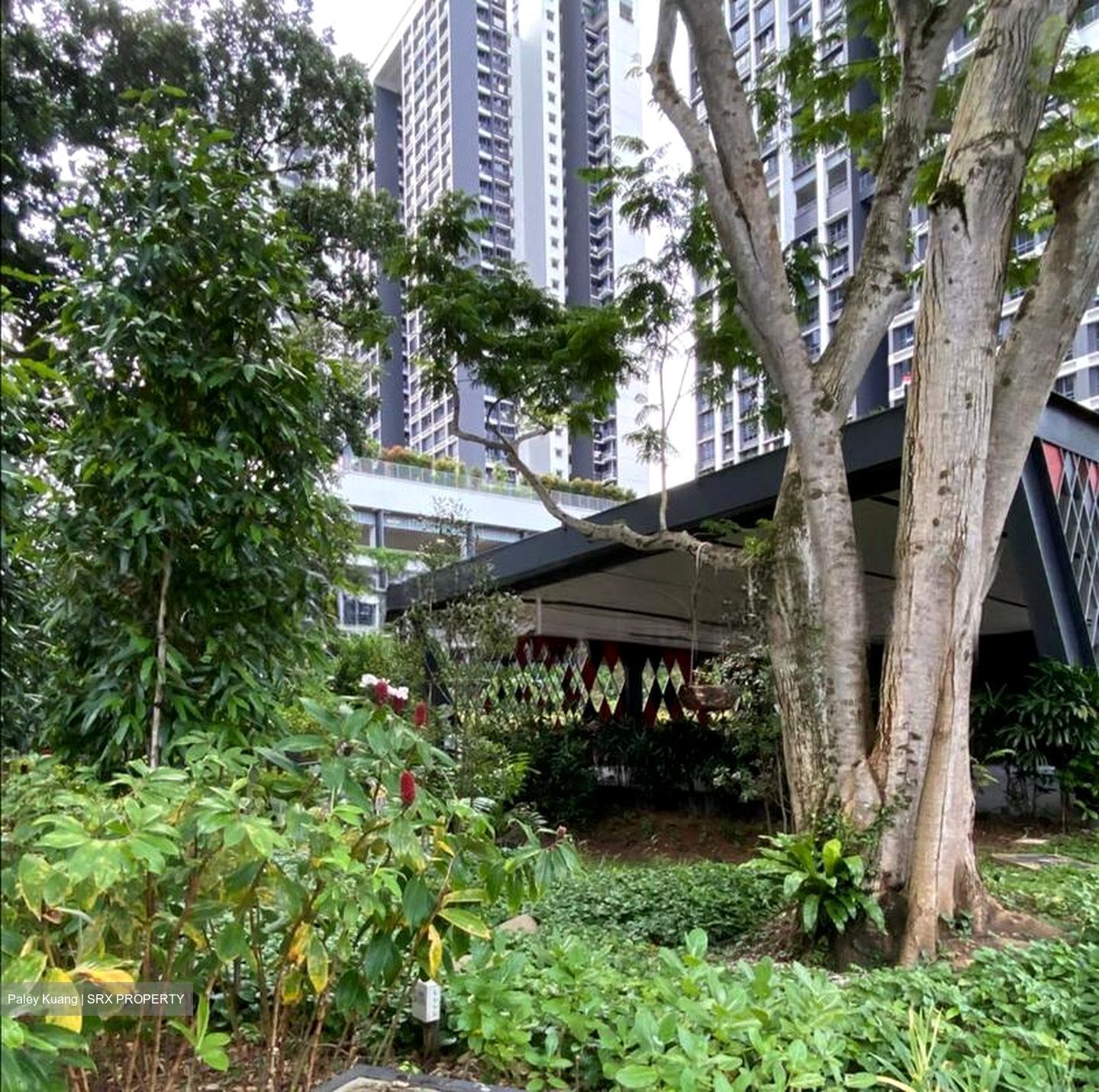 Blk 94 Skyparc @ Dawson (Queenstown), HDB 3 Rooms #519027741